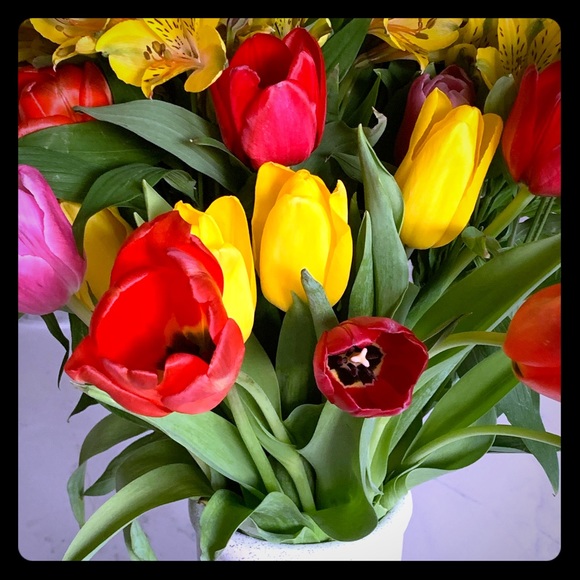 Meet your Posher, Tara - Picture 1 of 1